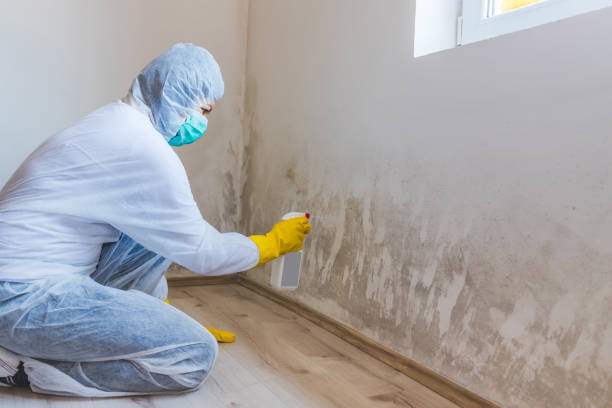 Licensed Mold Inspection service in Pompton Lakes, NJ - WQB Mold Removal