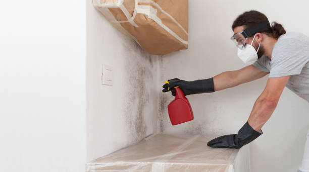 Professional Mold Inspection technician working in Pompton Lakes, NJ