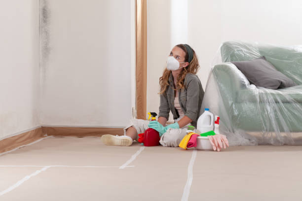 Trusted Mold Inspection service in Pompton Lakes, NJ - WQB Mold Removal